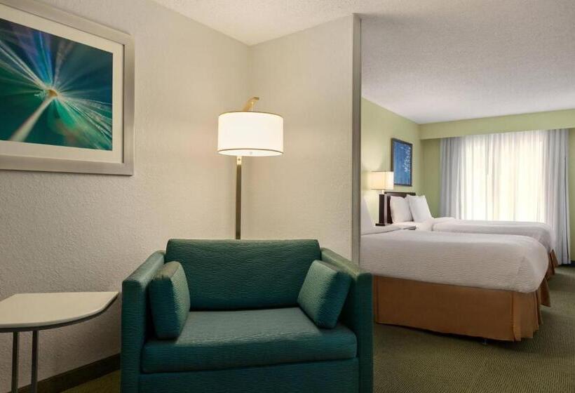 Люкс Адаптированный для Инвалидов, Springhill Suites Boca Raton