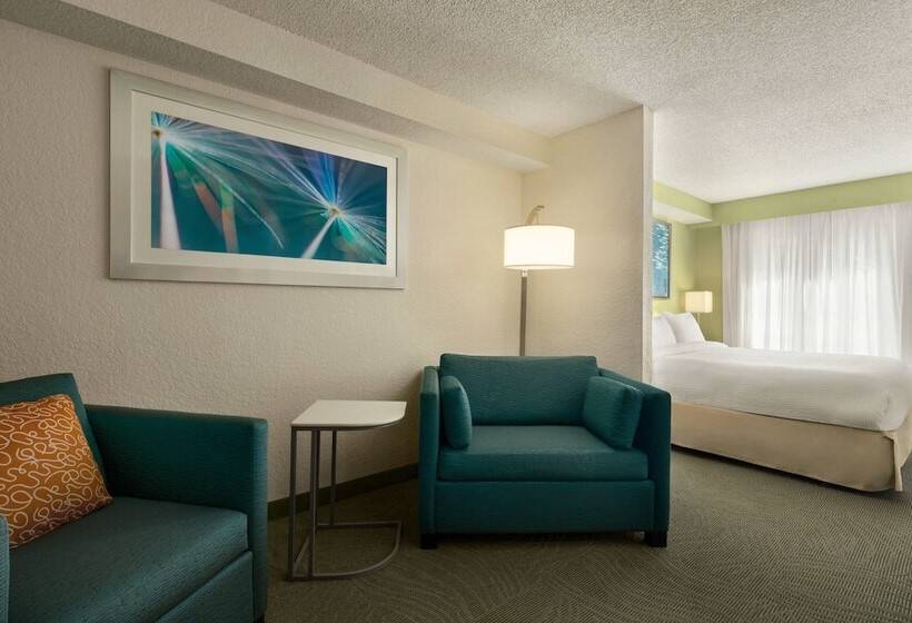 Люкс Адаптированный для Инвалидов, Springhill Suites Boca Raton