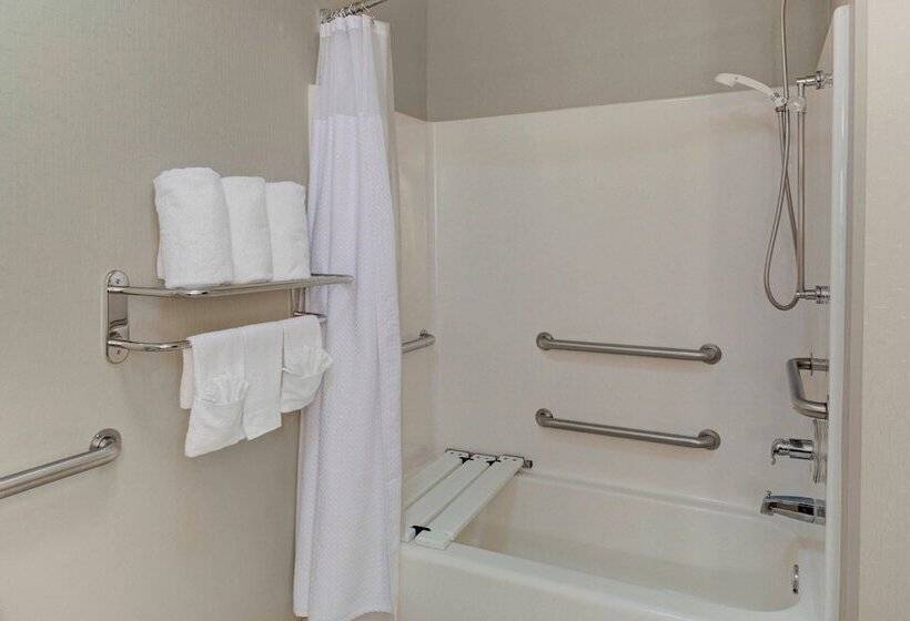 Suite, Springhill Suites By Marriott Memphis East Galleria