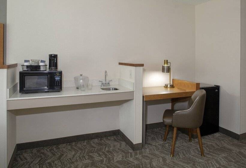 Suite, Springhill Suites By Marriott Memphis East Galleria