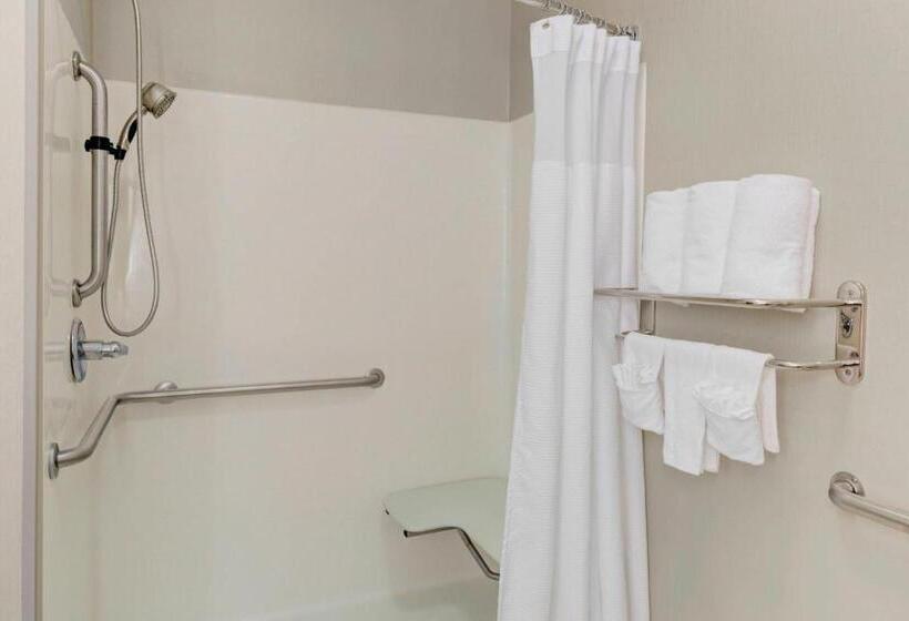 Suite Letto King, Springhill Suites By Marriott Memphis East Galleria