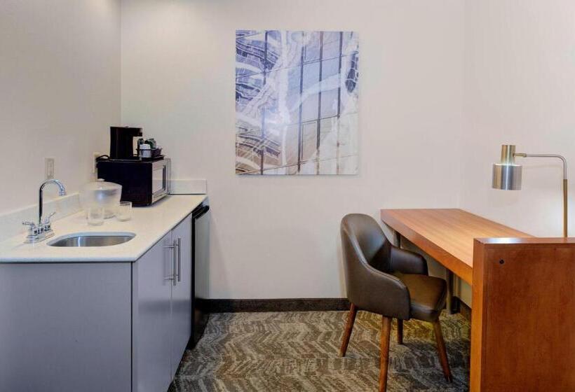 Suite Letto King, Springhill Suites By Marriott Memphis East Galleria