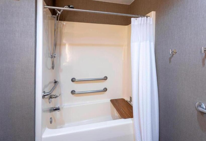 Студио Стандарт Кровать Кинг, Springhill Suites Rochester Mayo Clinic Area/saint Marys