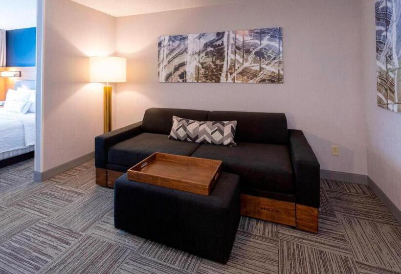 Студио Стандарт Кровать Кинг, Springhill Suites Rochester Mayo Clinic Area/saint Marys
