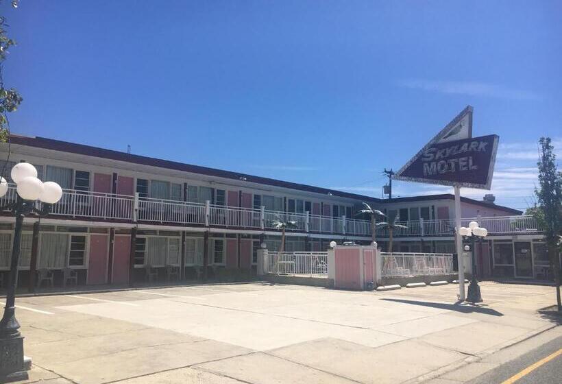 Номер Стандарт, Skylark Resort Motel