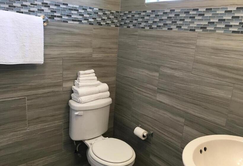 Номер Стандарт 2 Двуспальные Кровати, Skylark Resort Motel