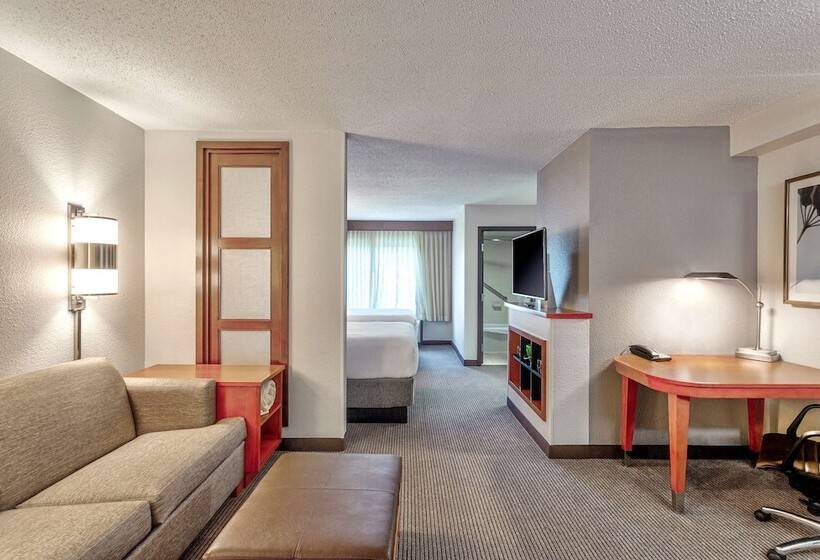 Номер Стандарт 2 Двуспальные Кровати, Hyatt Place Kansas City/overland Park/convention Center
