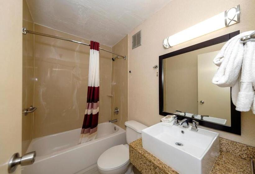 스탠다드 룸 더블 침대 2개, Red Roof Inn Jacksonville  Cruise Port