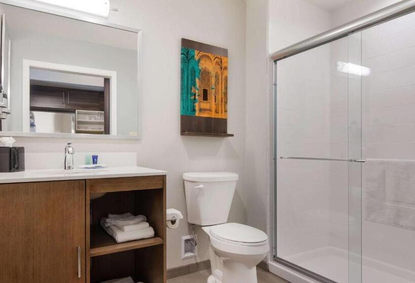 带大床的套房, Mainstay Suites East Camden