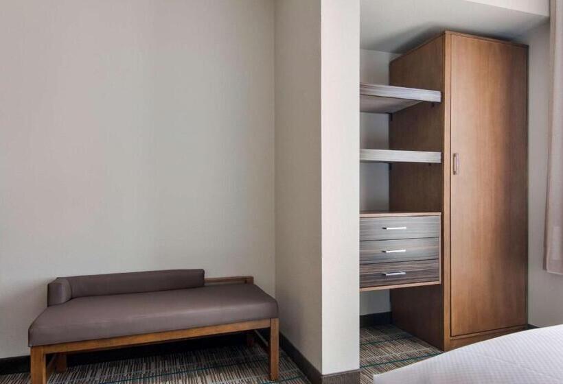 套房, Mainstay Suites East Camden