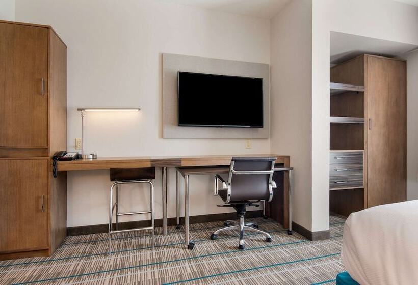 套房, Mainstay Suites East Camden