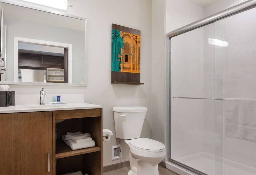 套房, Mainstay Suites East Camden