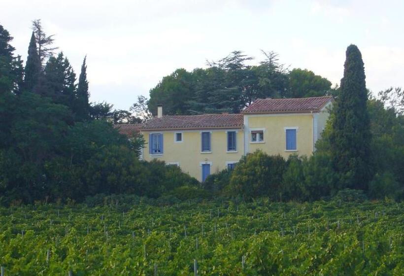 Standard Tent, Domaine Du Siestou