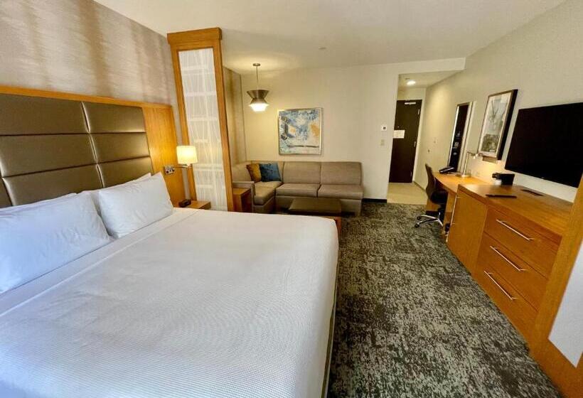 キングサイズベッドのスタンダードルーム, Hyatt Place Houston Downtown