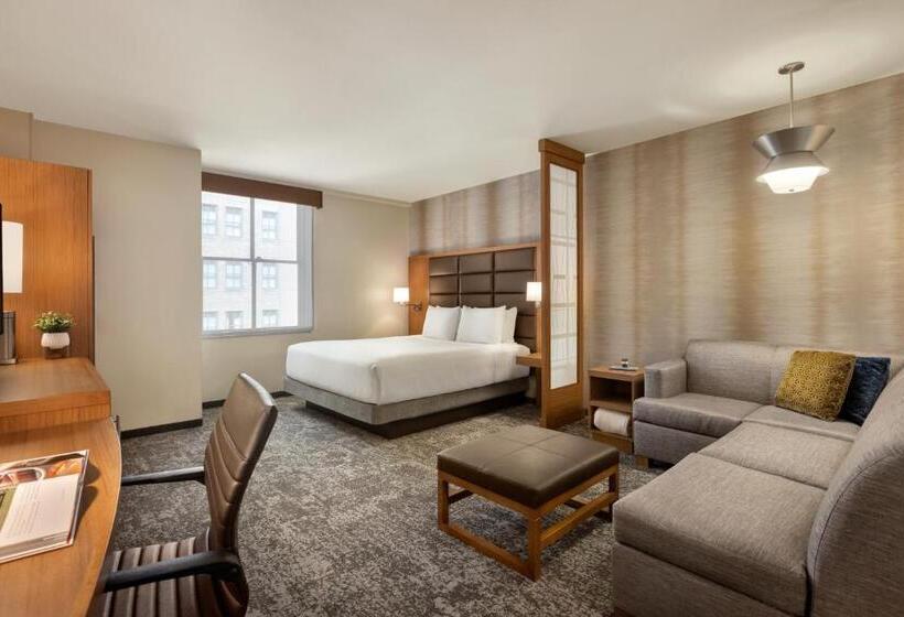 キングサイズベッドのスタンダードルーム, Hyatt Place Houston Downtown