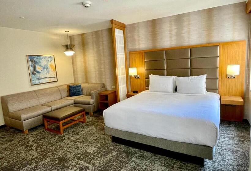 スタンダードシティビュールーム, Hyatt Place Houston Downtown