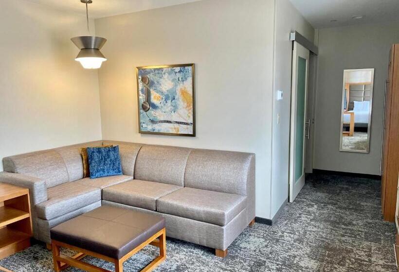 上層階スタンダードルーム, Hyatt Place Houston Downtown