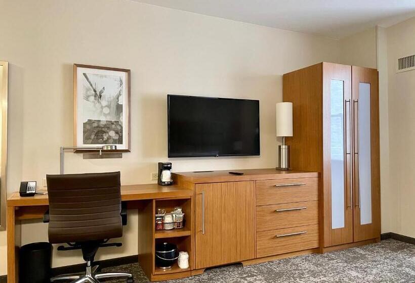 身障者適用キングサイズベッドルーム, Hyatt Place Houston Downtown