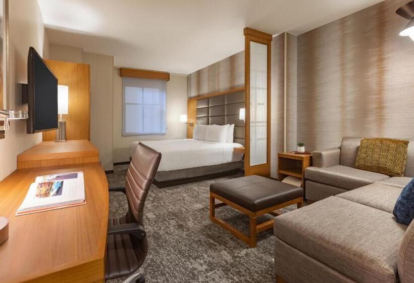 スタンダードルーム, Hyatt Place Houston Downtown