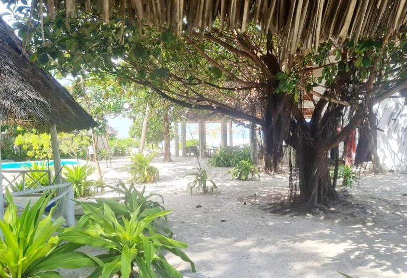Номер Deluxe, Garden Beach Bungalows Jambiani