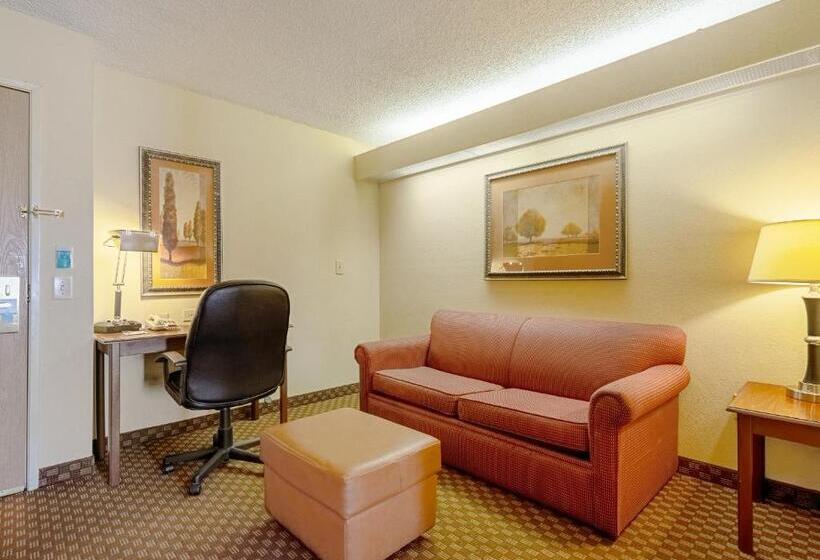 Люкс Кровать Кинг, Quality Suites San Antonio Northeast