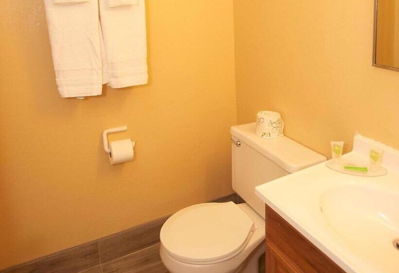 Стандартный Номер Кровать Кинг, Swiss Chalets Village Inn