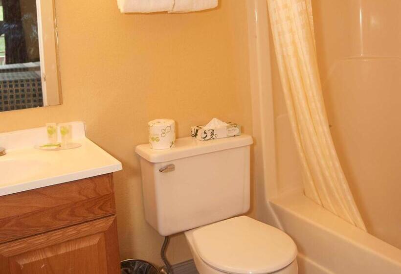 Номер Deluxe, Swiss Chalets Village Inn