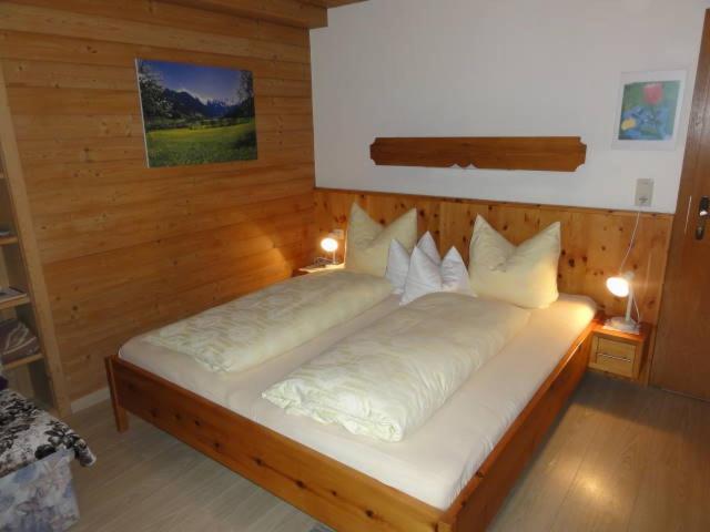 Апартаменты 1 Спальня с Видом, Apart Alpensonne Zillertal