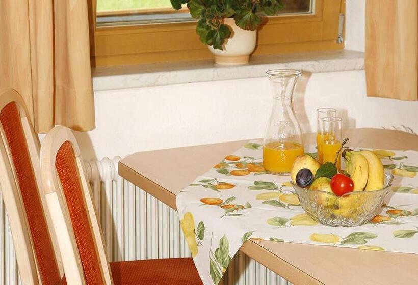 Апартаменты 1 Спальня с Видом, Apart Alpensonne Zillertal