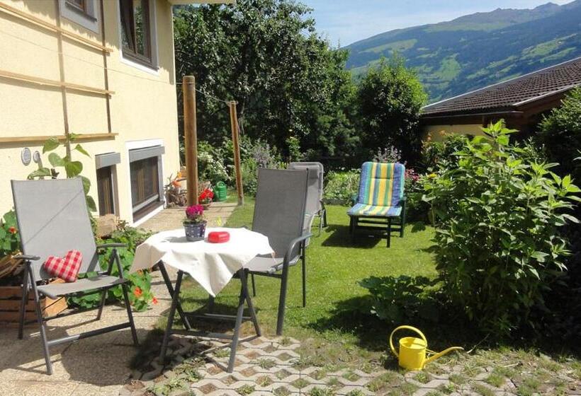 Апартаменты 1 Спальня, Apart Alpensonne Zillertal