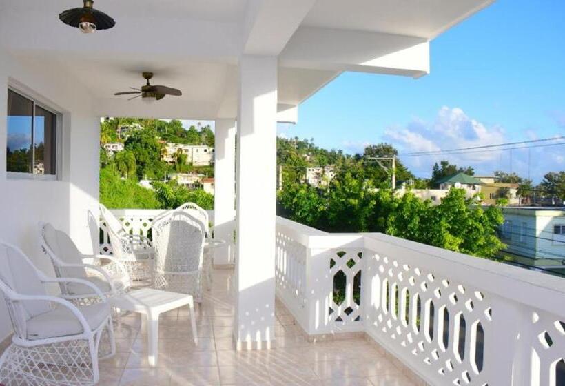 اتاق لوکس, Casa Docia