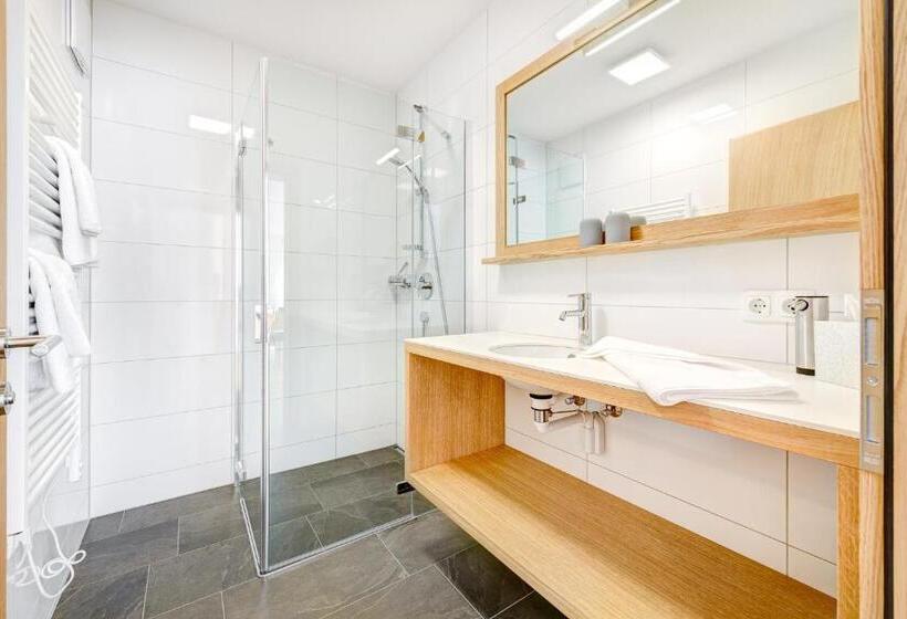 Апартаменты 1 Спальня, Damüls Appartements