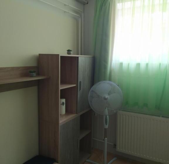 Номер Стандарт, Kolpingház Pécs