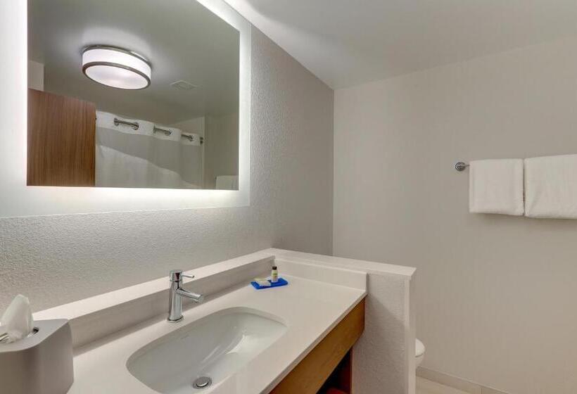 标准间, Holiday Inn Express & Suites   Roanoke – Civic Center