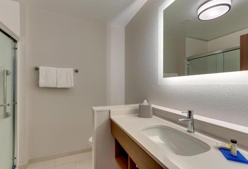 豪华房间, Holiday Inn Express & Suites   Roanoke – Civic Center