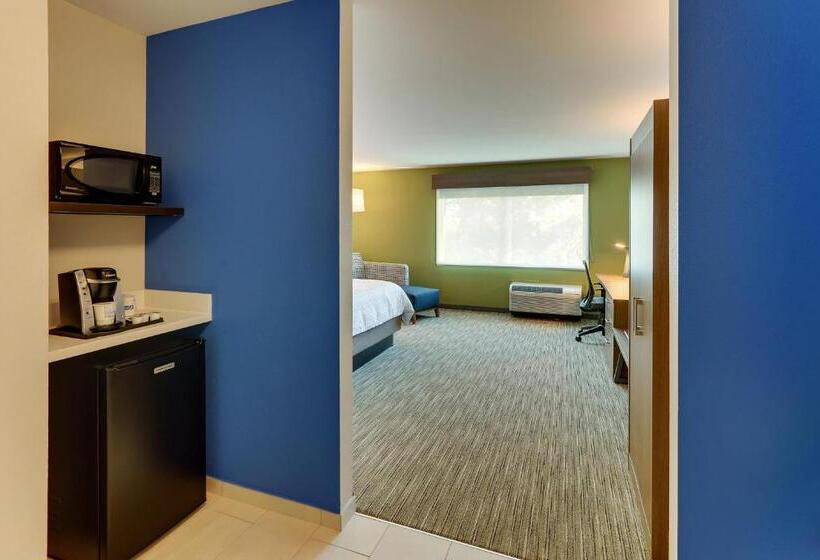 带大床的豪华间, Holiday Inn Express & Suites   Roanoke – Civic Center