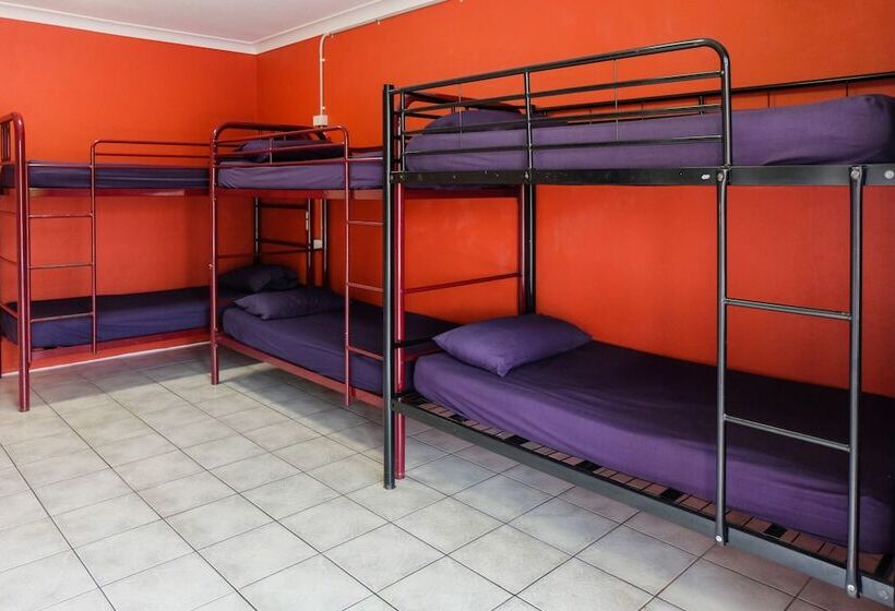 공동 객실, Brisbane Backpackers Resort   Hostel