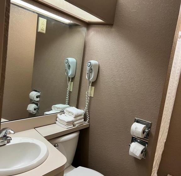 标准间, Viking Arms Inn  Ludington