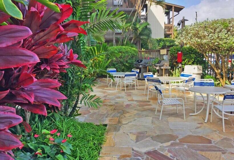 Апартаменты 1 Спальня, Wailua Bay View 115