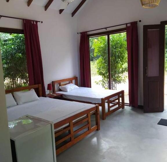Economy Triple Room, Sky Forest