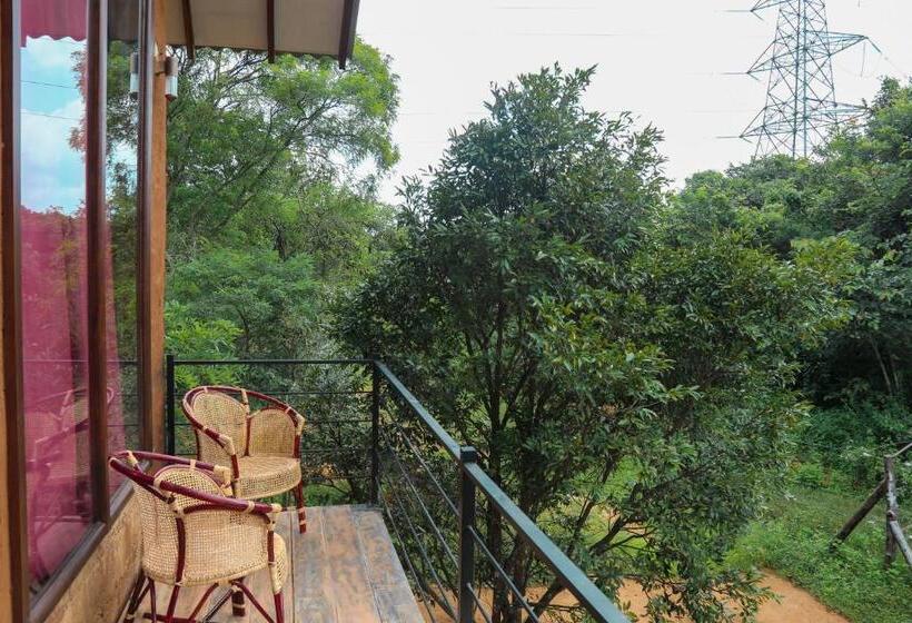 Economy Triple Room, Sky Forest