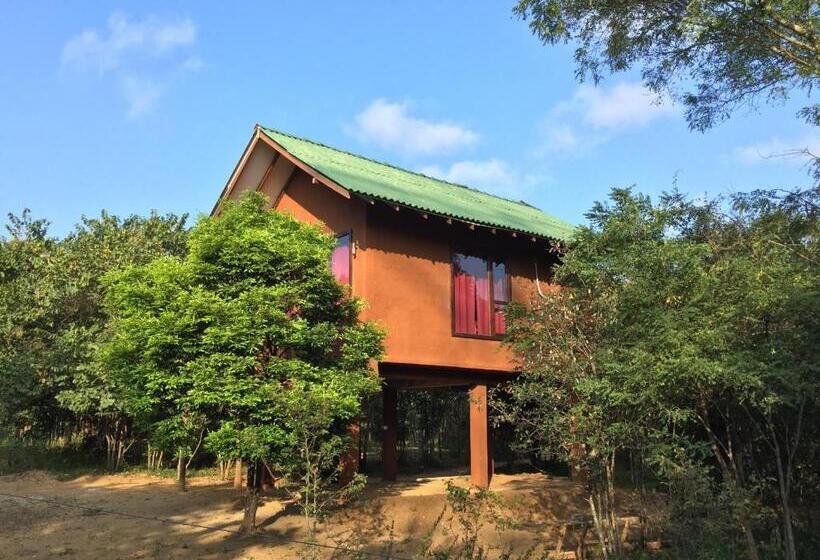 اتاق لوکس با بالکن, Sky Forest