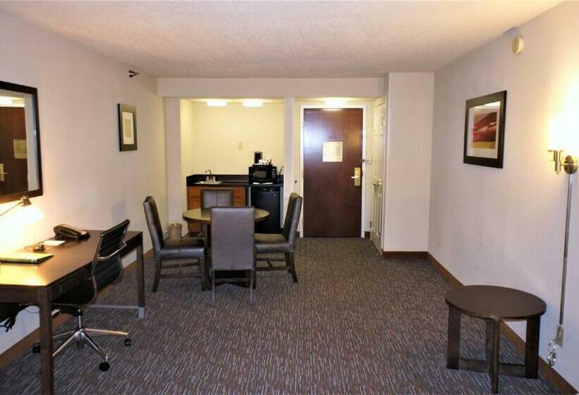 Deluxe Suite met Kingsize Bed, Wingate By Wyndham Chattanooga