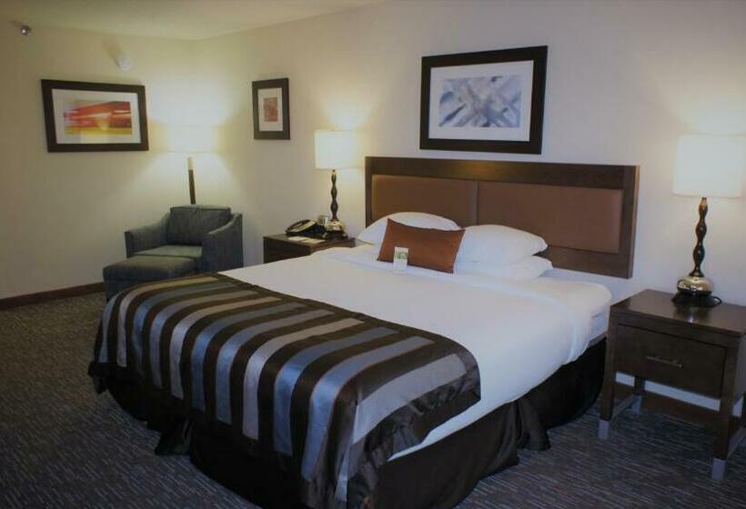 Standaardkamer met Kingsize Bed, Wingate By Wyndham Chattanooga