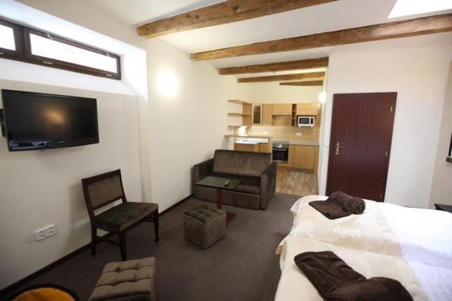 Студия Стандарт, & Apartments U černého Orla