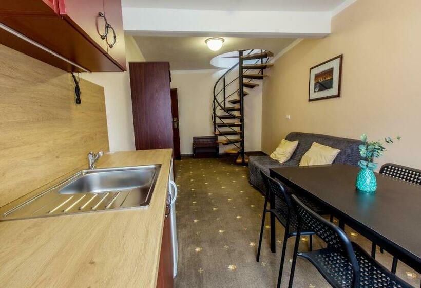 Полулюкс Дюплекс, & Apartments U černého Orla