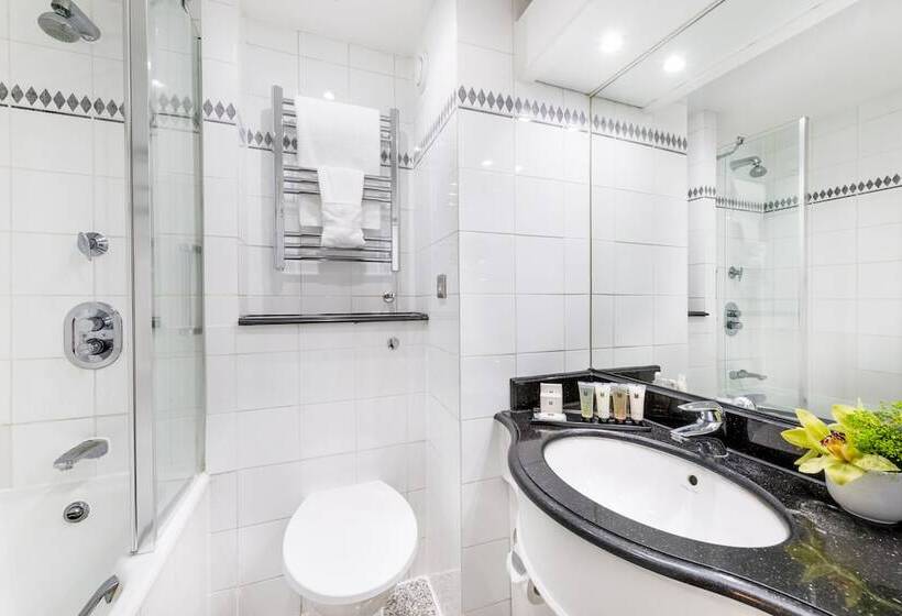 Номер Стандарт Индивидуальный, Millennium Hotel London Knightsbridge