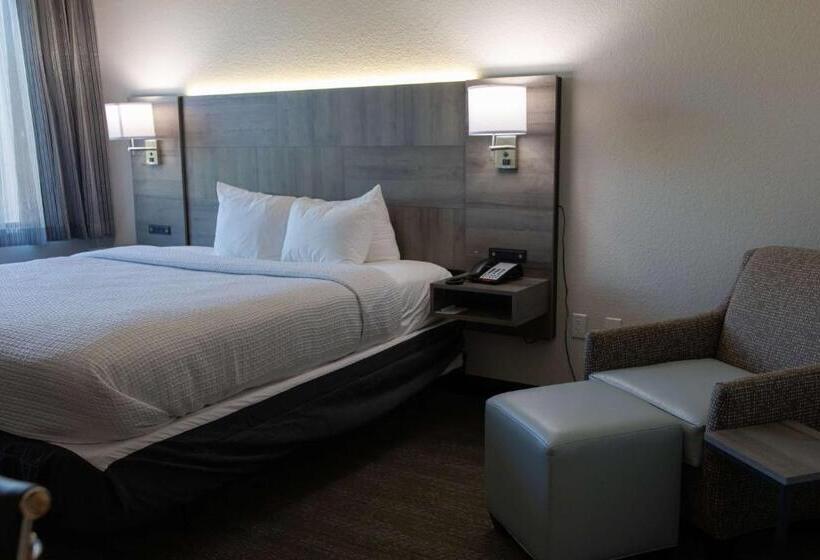 Standard Room King Bed Adapted for people with reduced mobility, Best Western Plus Executive Residency Phoenix North Happy Valley