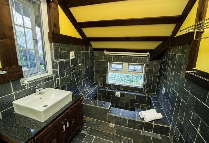 اتاق استاندارد, Vanse B&b