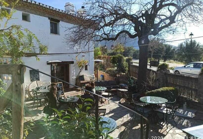 주니어 스위트, Rural Alqueria De Los Lentos